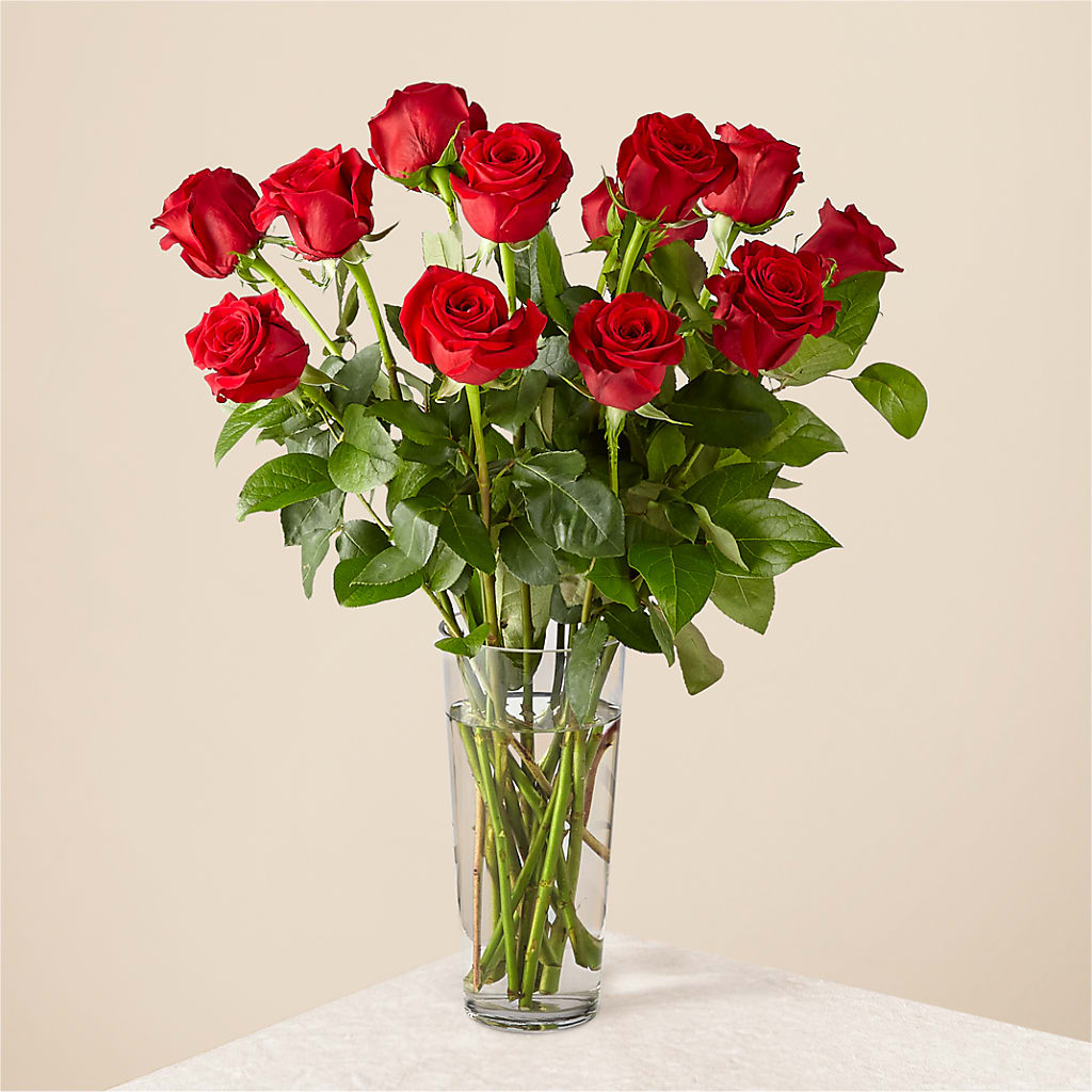 Long Stem Red Rose Bouquet – Blooming Branches, Guttenberg IA
