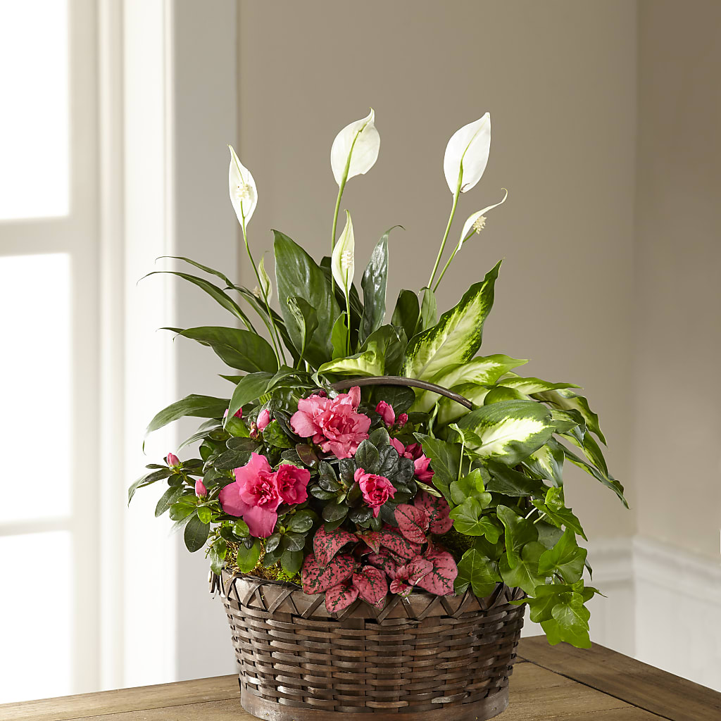 Dream in Pink Dishgarden – Blooming Branches, Guttenberg IA