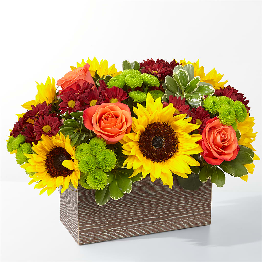 Happy Harvest Garden – Blooming Branches, Guttenberg IA