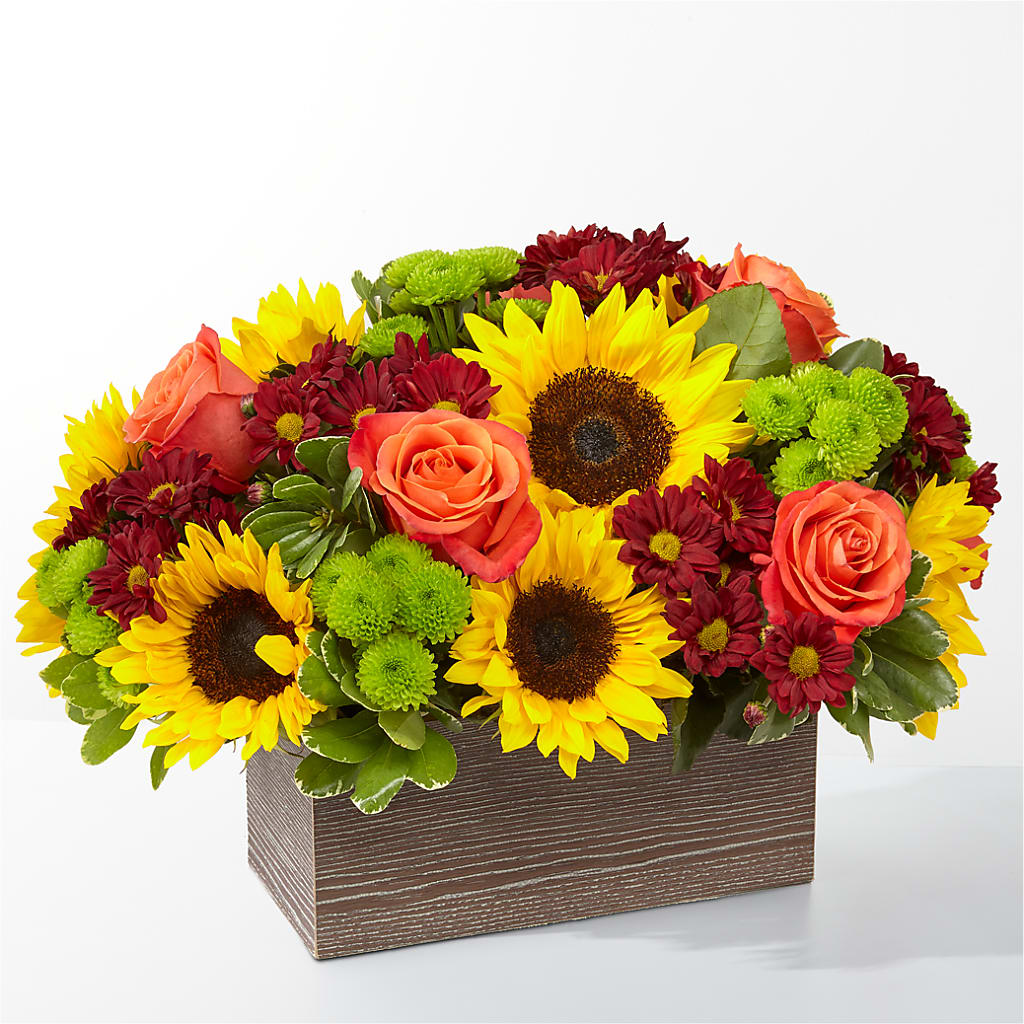 Happy Harvest Garden – Blooming Branches, Guttenberg IA