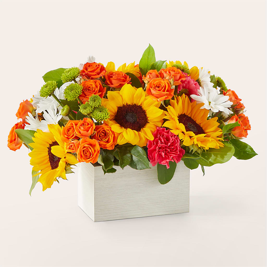 Sun-drenched Blooms Box Bouquet – Blooming Branches, Guttenberg IA