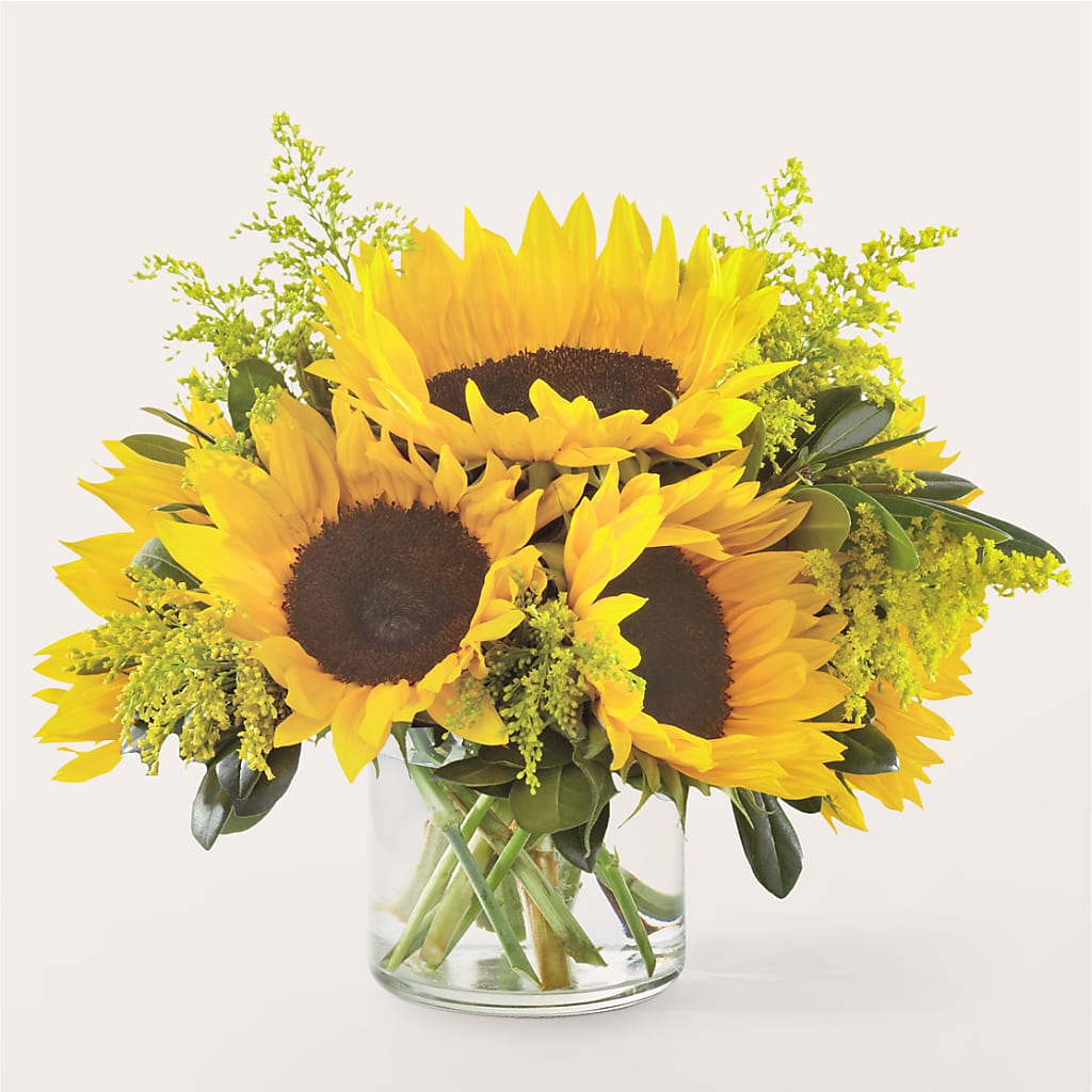 Beaming Sunflower Bouquet – Blooming Branches, Guttenberg IA