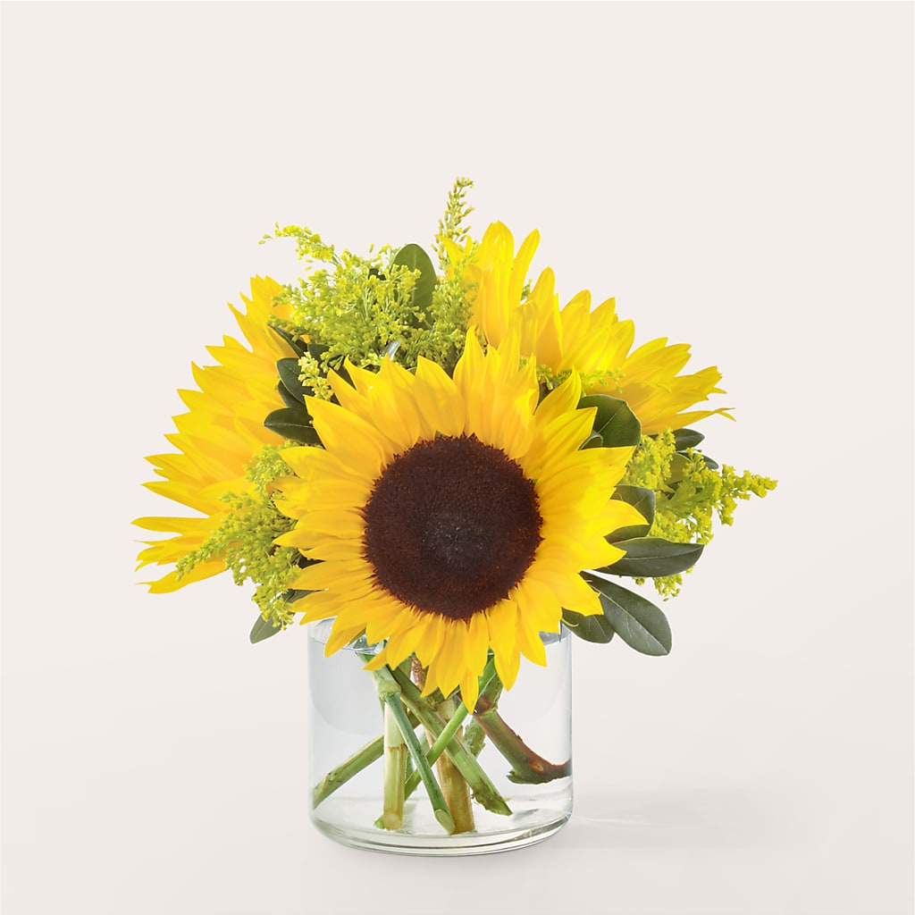 Beaming Sunflower Bouquet – Blooming Branches, Guttenberg IA