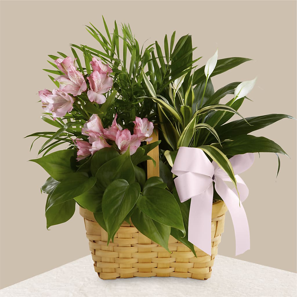 Living Spirit Dishgarden – Blooming Branches, Guttenberg IA