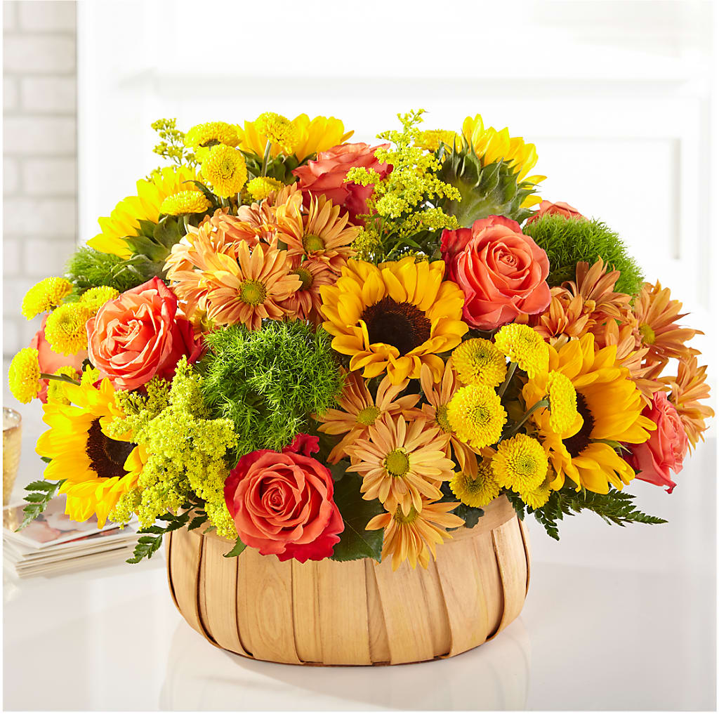 Harvest Sunflower Basket – Blooming Branches, Guttenberg IA