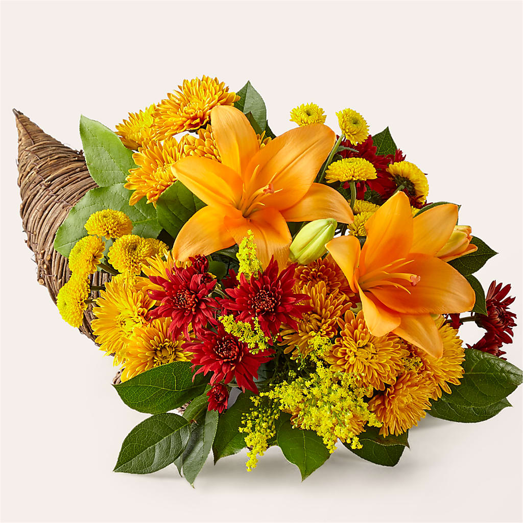 Feast of Color Cornucopia – Blooming Branches, Guttenberg IA