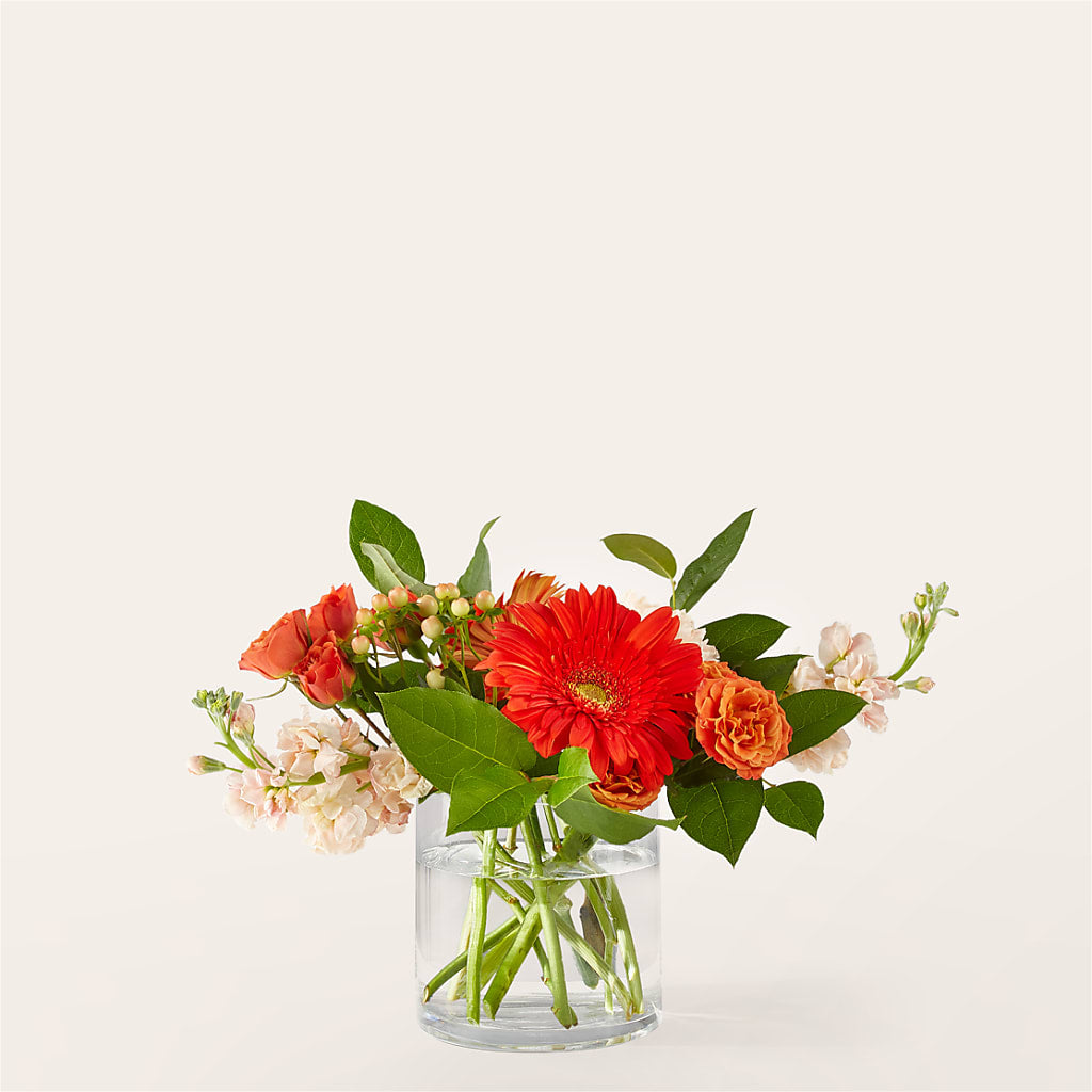 Paloma Please Bouquet – Blooming Branches, Guttenberg IA