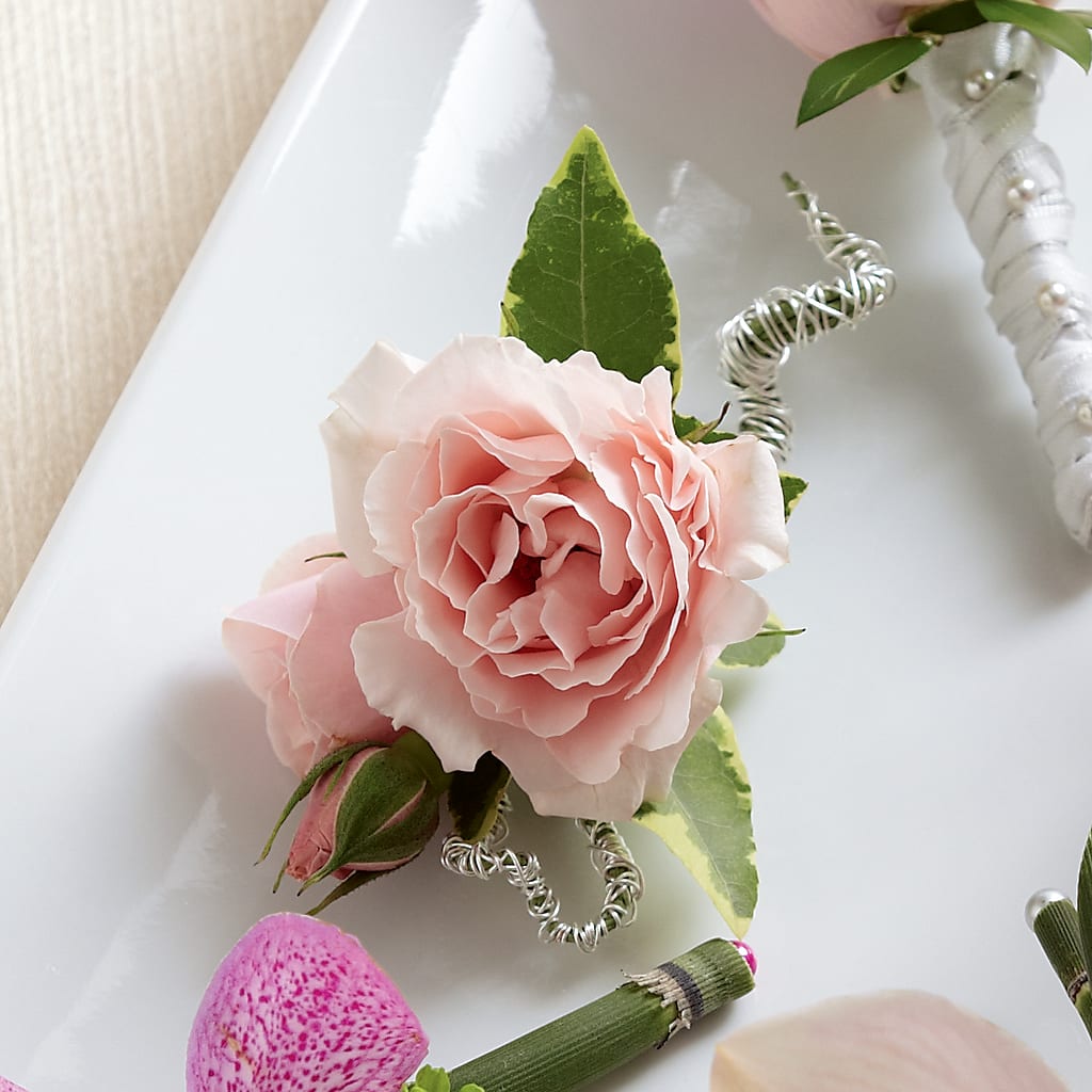 Pink Spray Rose Boutonniere – Blooming Branches, Guttenberg IA