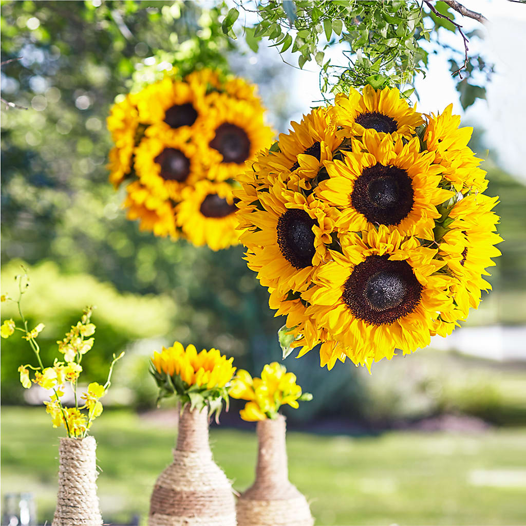Sublime Garden Hanging Arrangement – Blooming Branches, Guttenberg IA
