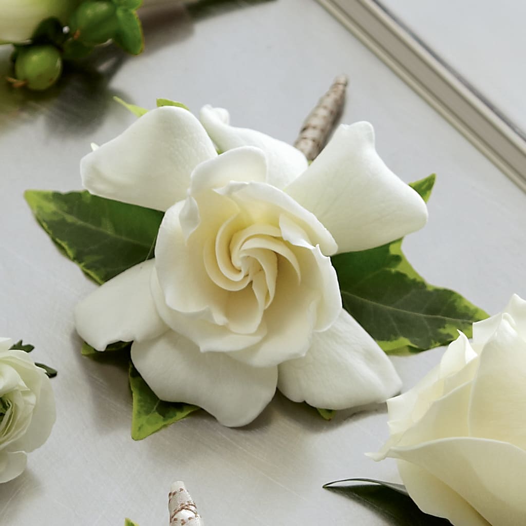 Gardenia Boutonniere – Blooming Branches, Guttenberg IA