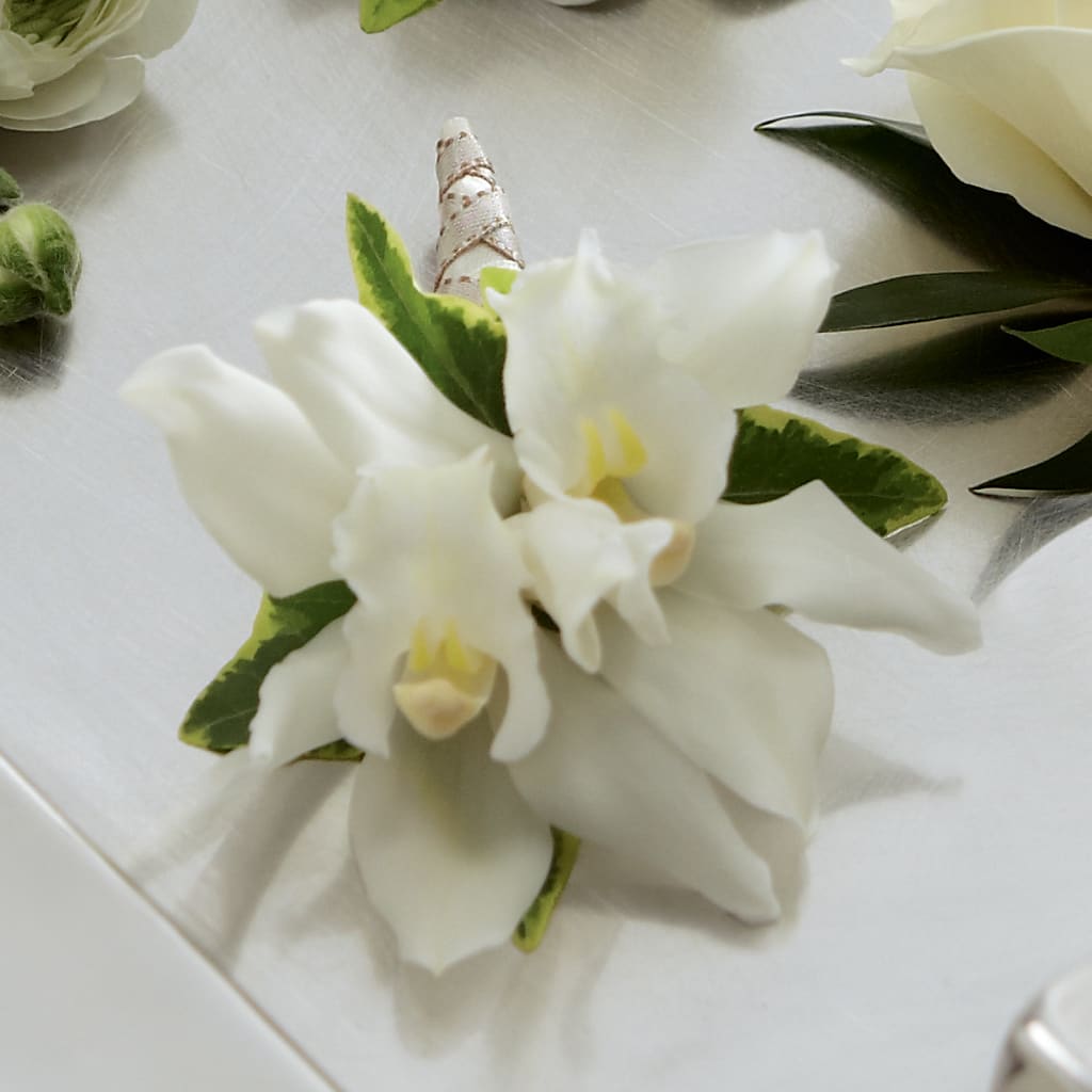 White Mini Cymbidium Boutonniere – Blooming Branches, Guttenberg IA