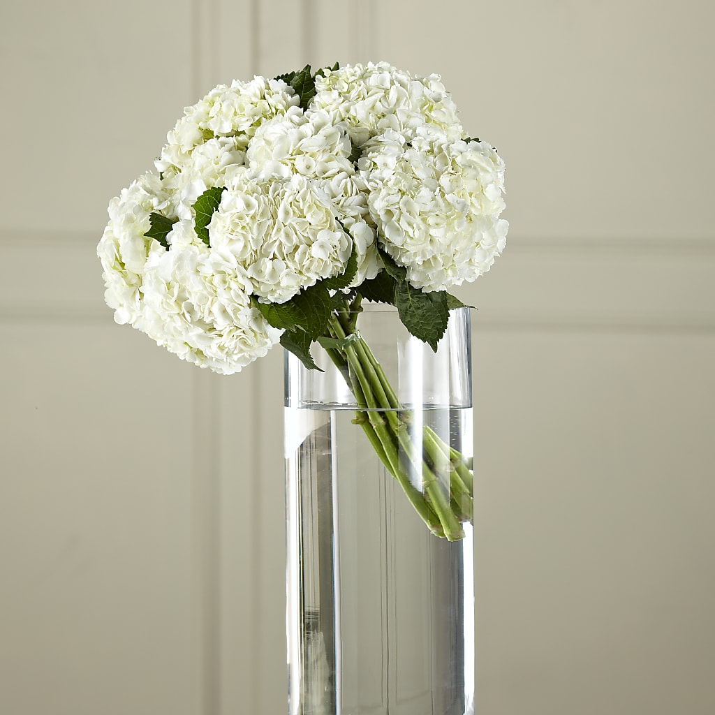 White Hydrangea Hand-Tied Bouquet – Blooming Branches, Guttenberg IA