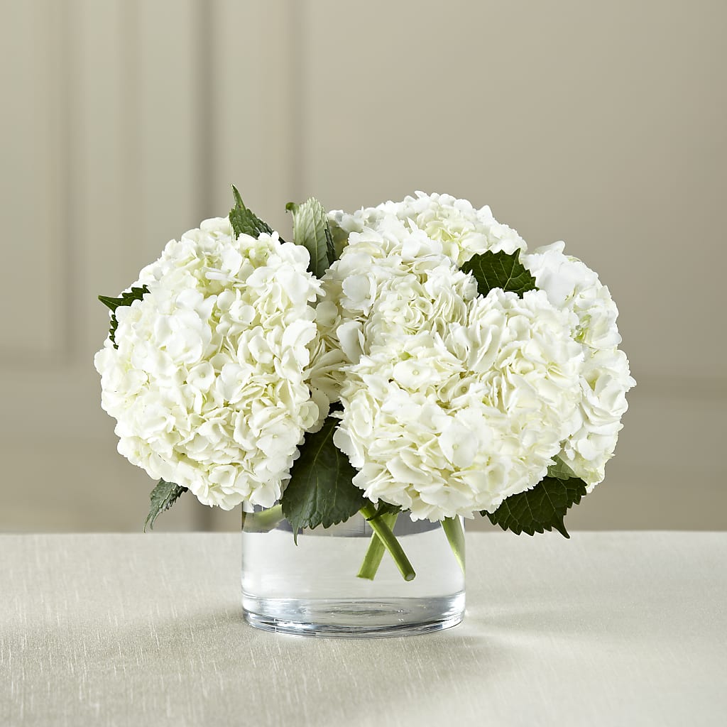 White Hydrangea Bouquet – Blooming Branches, Guttenberg IA