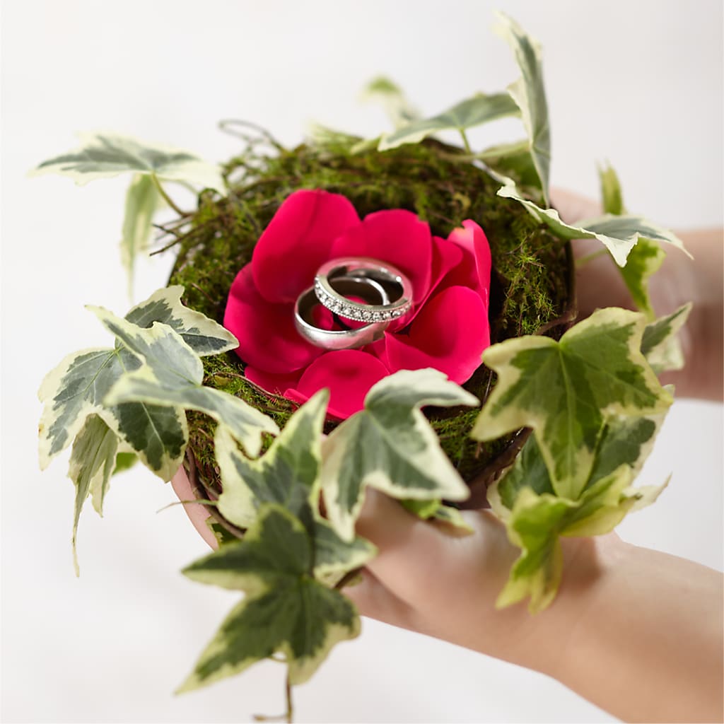 Lila Rose Ring Nest – Blooming Branches, Guttenberg IA