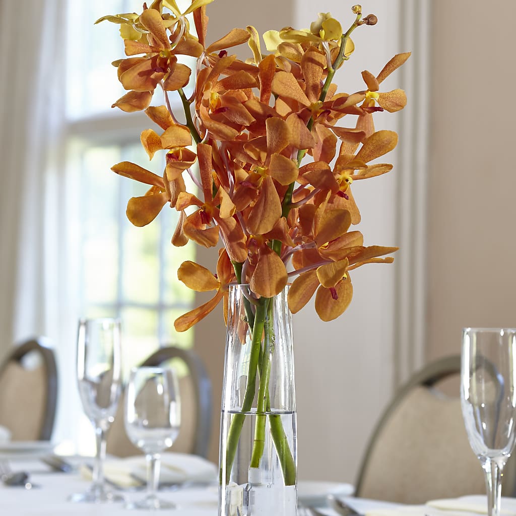 Orange Mokara Bud Vase – Blooming Branches, Guttenberg IA