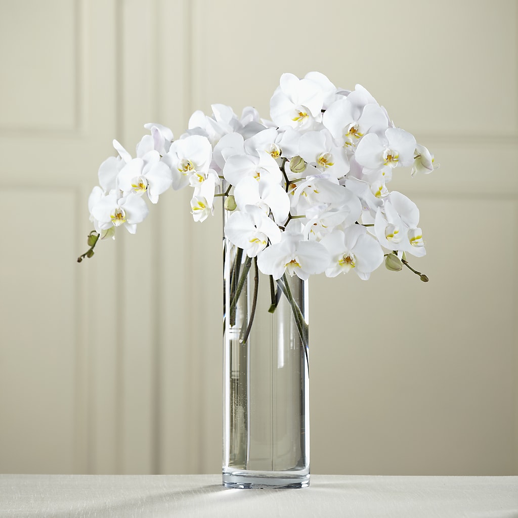 White Phalaenopsis Bouquet – Blooming Branches, Guttenberg IA