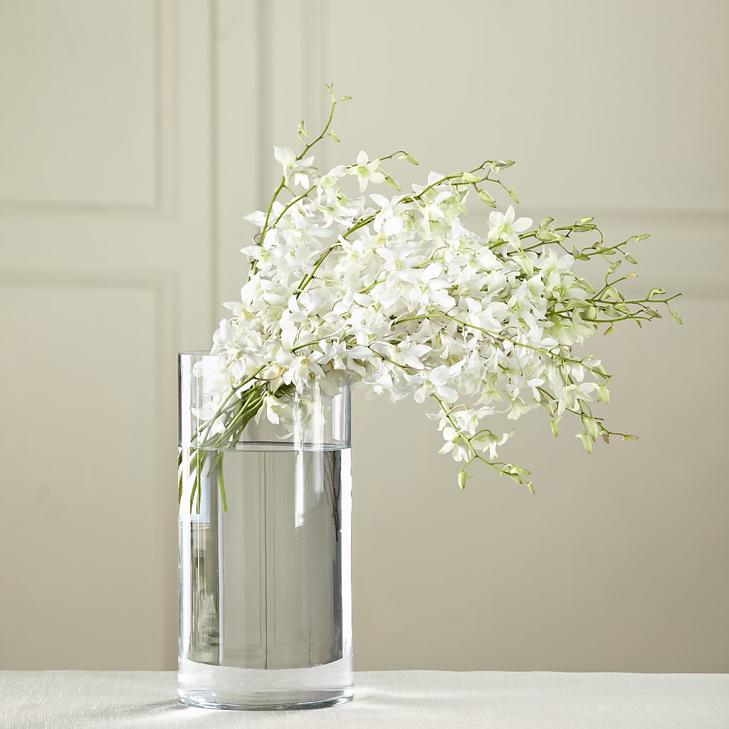 White Dendrobium Bouquet – Blooming Branches, Guttenberg IA