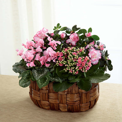 Pink Assortment –  Blooming Branches, Guttenberg IA