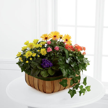 Gentle Blossoms Basket –  Blooming Branches, Guttenberg IA