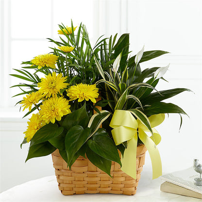 Loving Light Dishgarden –  Blooming Branches, Guttenberg IA