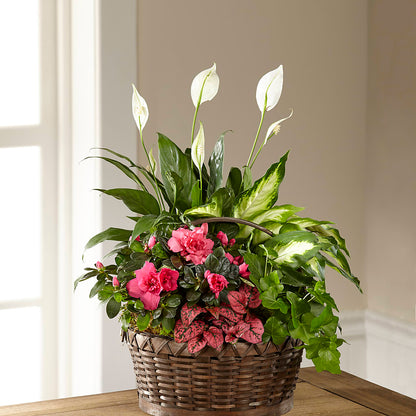 Dream in Pink Dishgarden –  Blooming Branches, Guttenberg IA