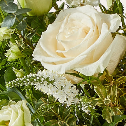 Cashmere Bouquet –  Blooming Branches, Guttenberg IA