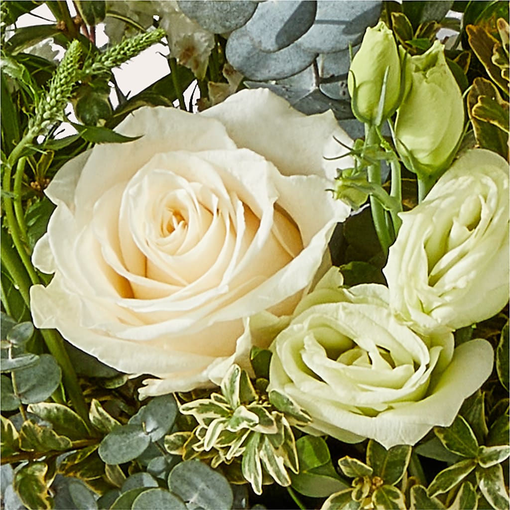 Cashmere Bouquet –  Blooming Branches, Guttenberg IA