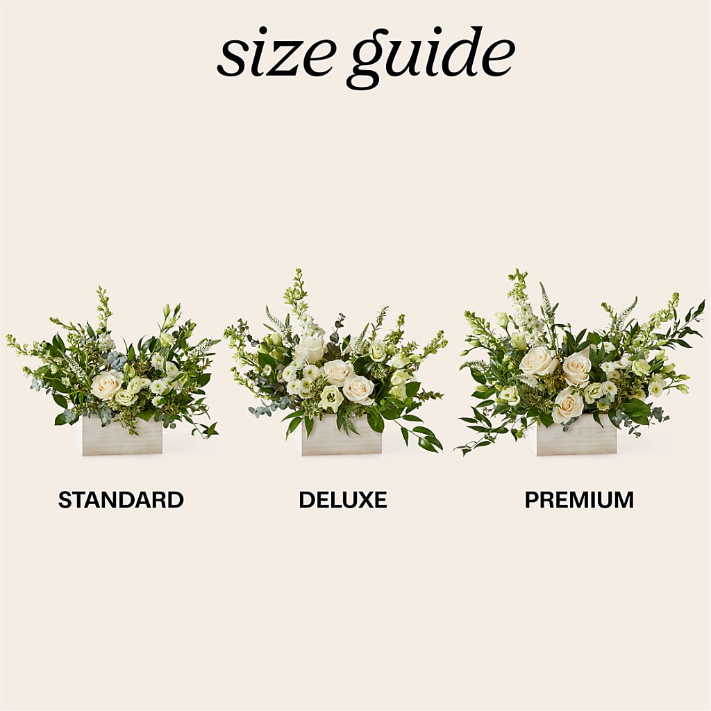 Cashmere Bouquet –  Blooming Branches, Guttenberg IA