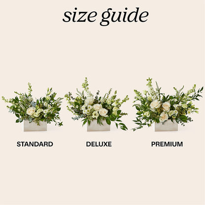 Cashmere Bouquet –  Blooming Branches, Guttenberg IA