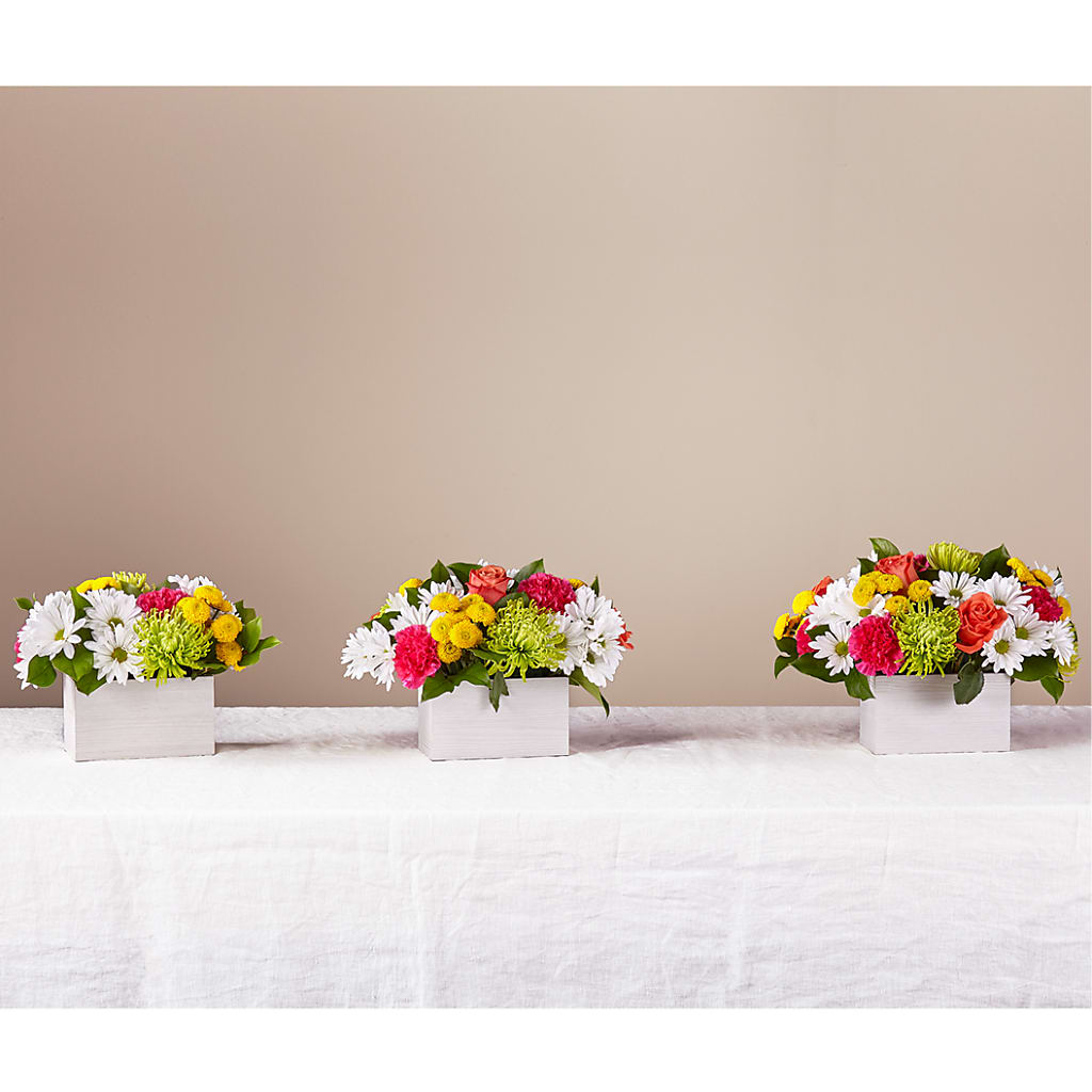 Sorbet Bouquet –  Blooming Branches, Guttenberg IA