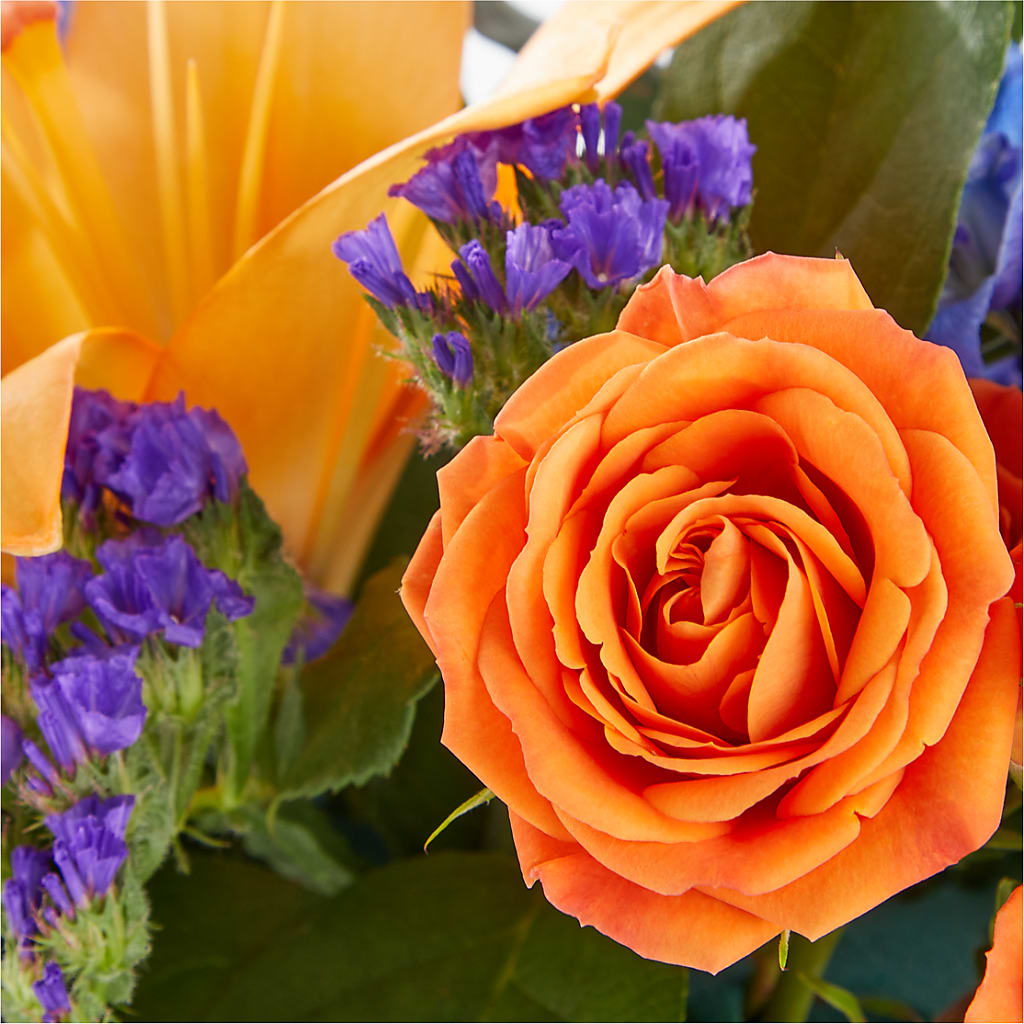 Radiant Citrus Box Bouquet –  Blooming Branches, Guttenberg IA