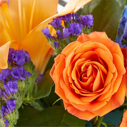 Radiant Citrus Box Bouquet –  Blooming Branches, Guttenberg IA