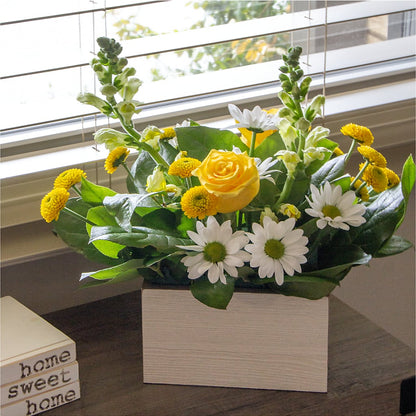 Sun Salutation Box Bouquet –  Blooming Branches, Guttenberg IA
