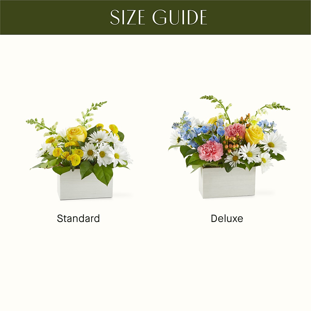 Sun Salutation Box Bouquet –  Blooming Branches, Guttenberg IA
