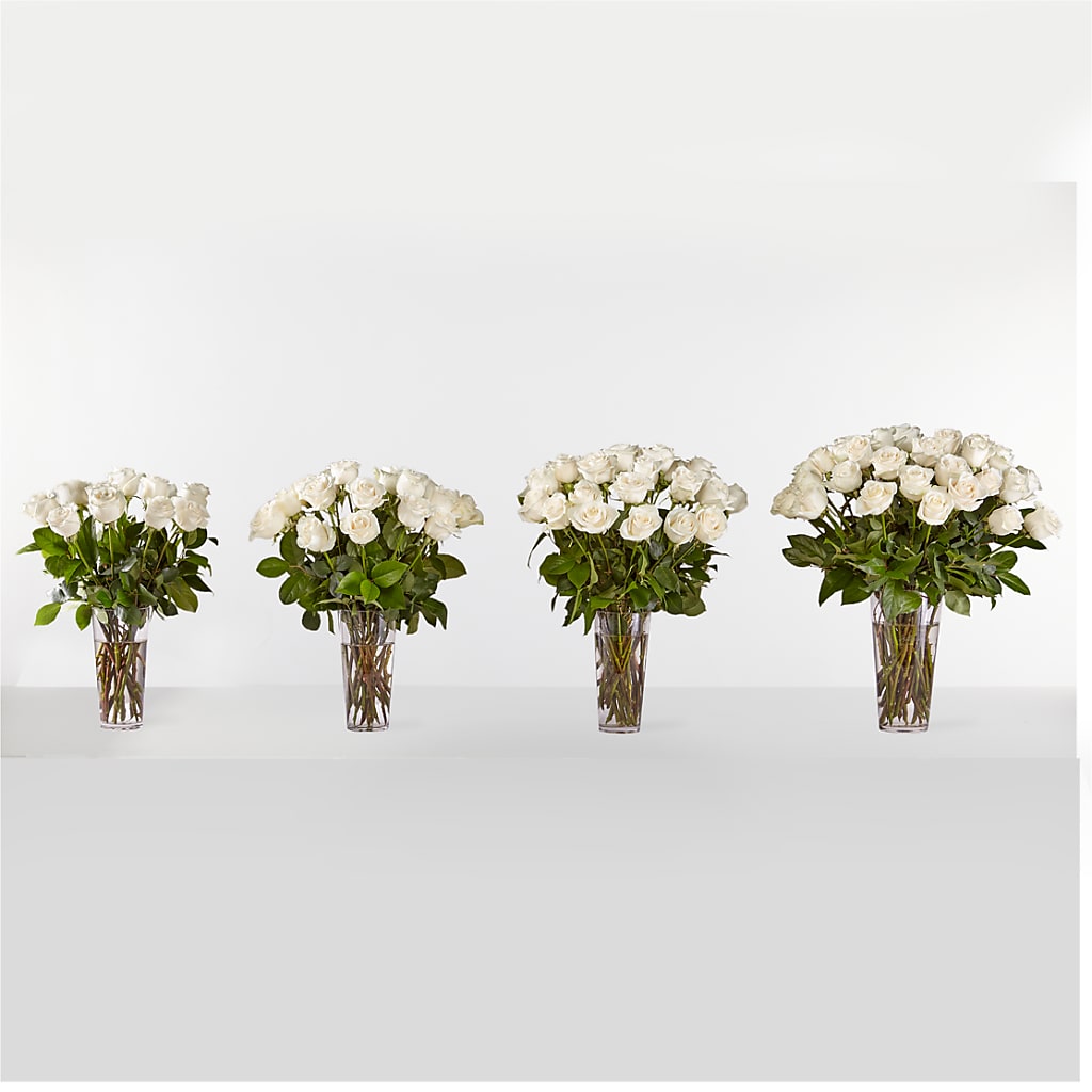 Long Stem White Rose Bouquet –  Blooming Branches, Guttenberg IA