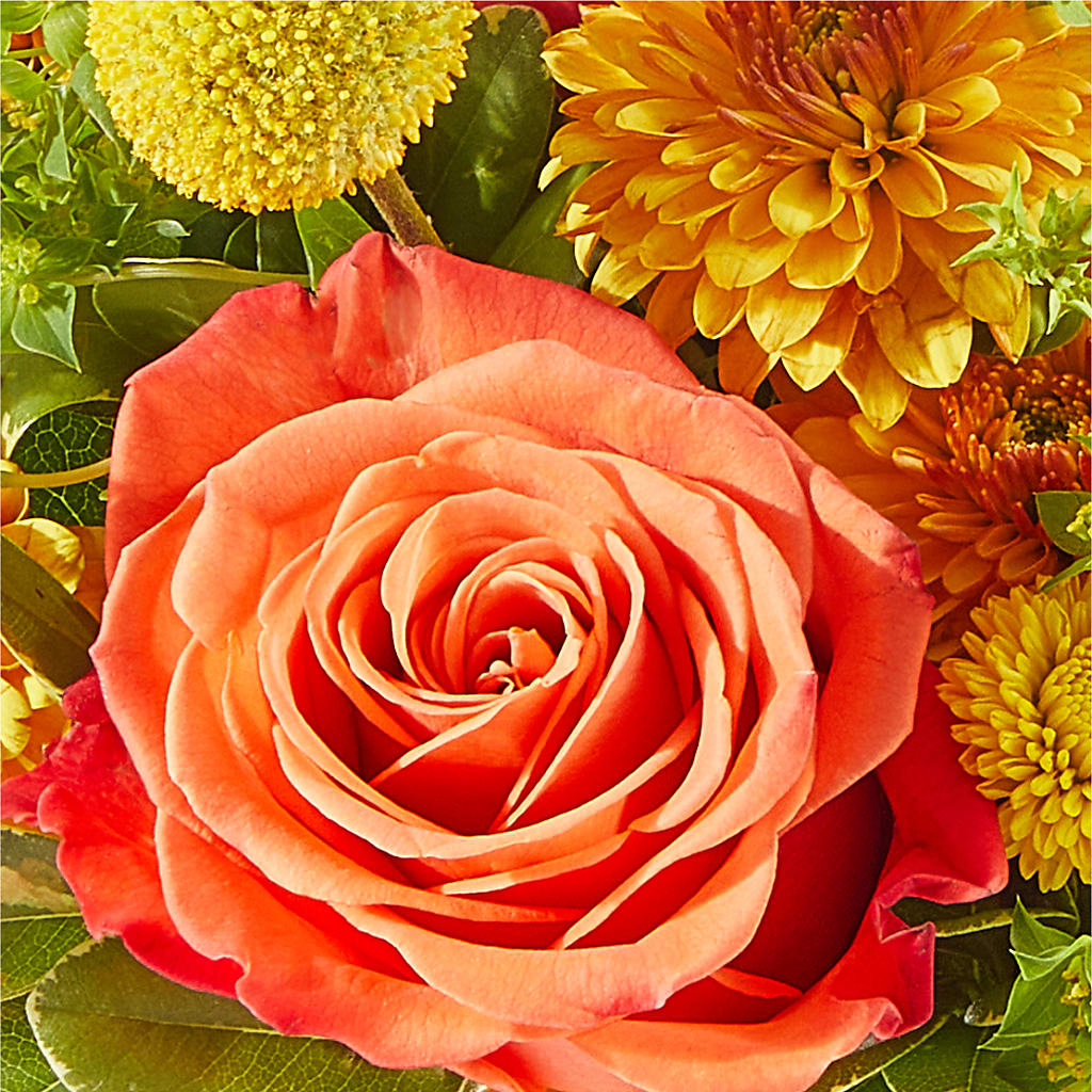 Gourdgeous Pumpkin –  Blooming Branches, Guttenberg IA