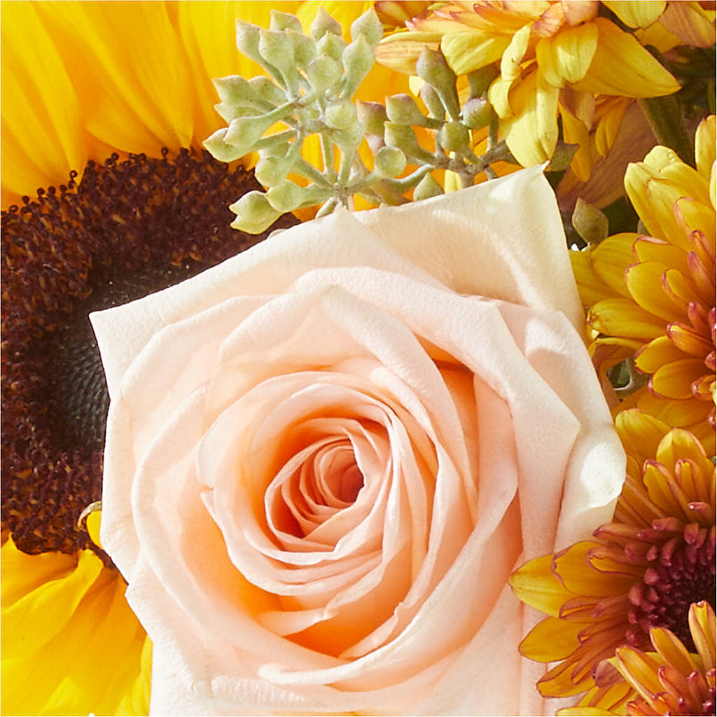 Pumpkin to Talk About Bouquet –  Blooming Branches, Guttenberg IA