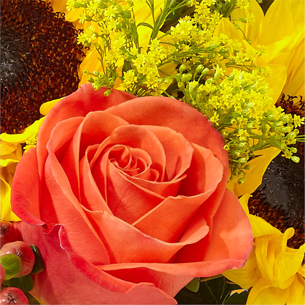 Pick of the Patch Pumpkin Bouquet –  Blooming Branches, Guttenberg IA