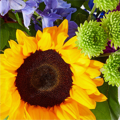 Catching Rays Bouquet –  Blooming Branches, Guttenberg IA