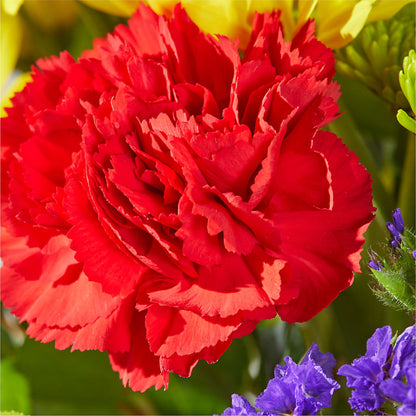Brighter Days Bouquet –  Blooming Branches, Guttenberg IA