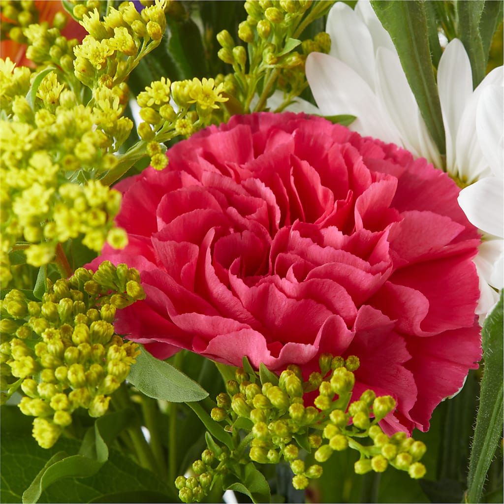 Oopsie Daisy Bouquet –  Blooming Branches, Guttenberg IA