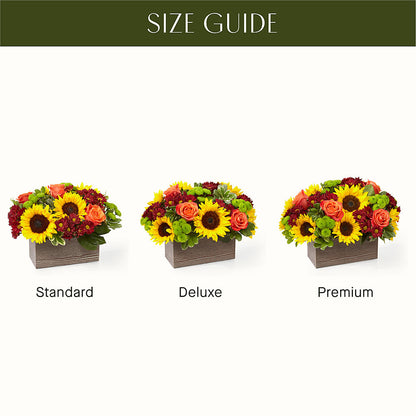 Happy Harvest Garden –  Blooming Branches, Guttenberg IA