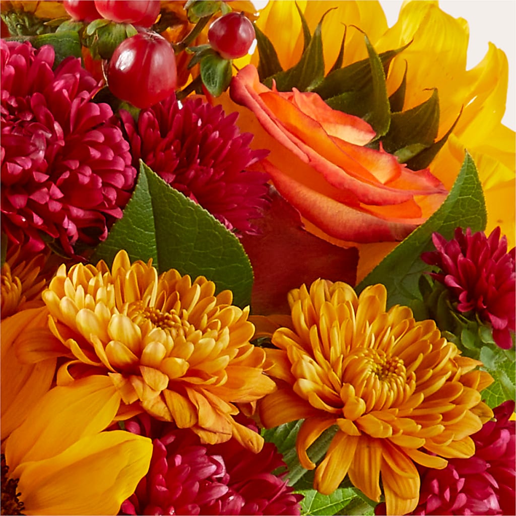 Sweater Season - A Florist Original –  Blooming Branches, Guttenberg IA