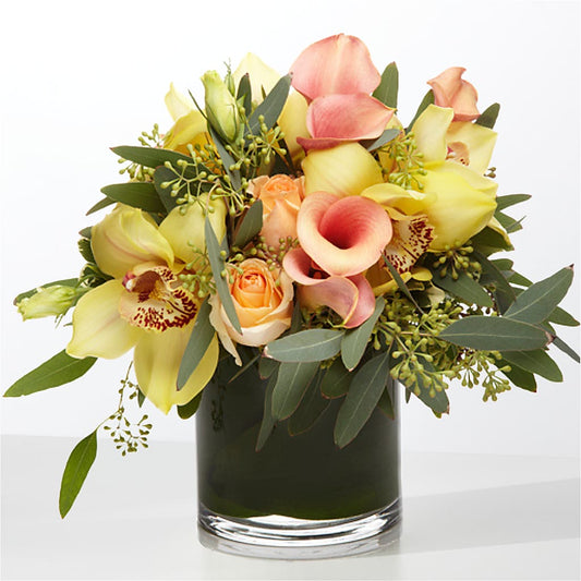 The Visionary –  Blooming Branches, Guttenberg IA