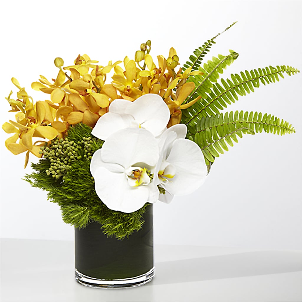 The Tropics –  Blooming Branches, Guttenberg IA