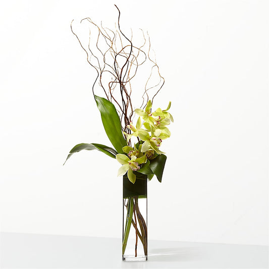 The Statement –  Blooming Branches, Guttenberg IA