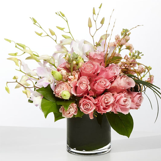 The Muse –  Blooming Branches, Guttenberg IA