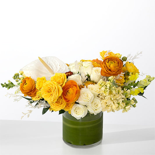 The Optimist –  Blooming Branches, Guttenberg IA