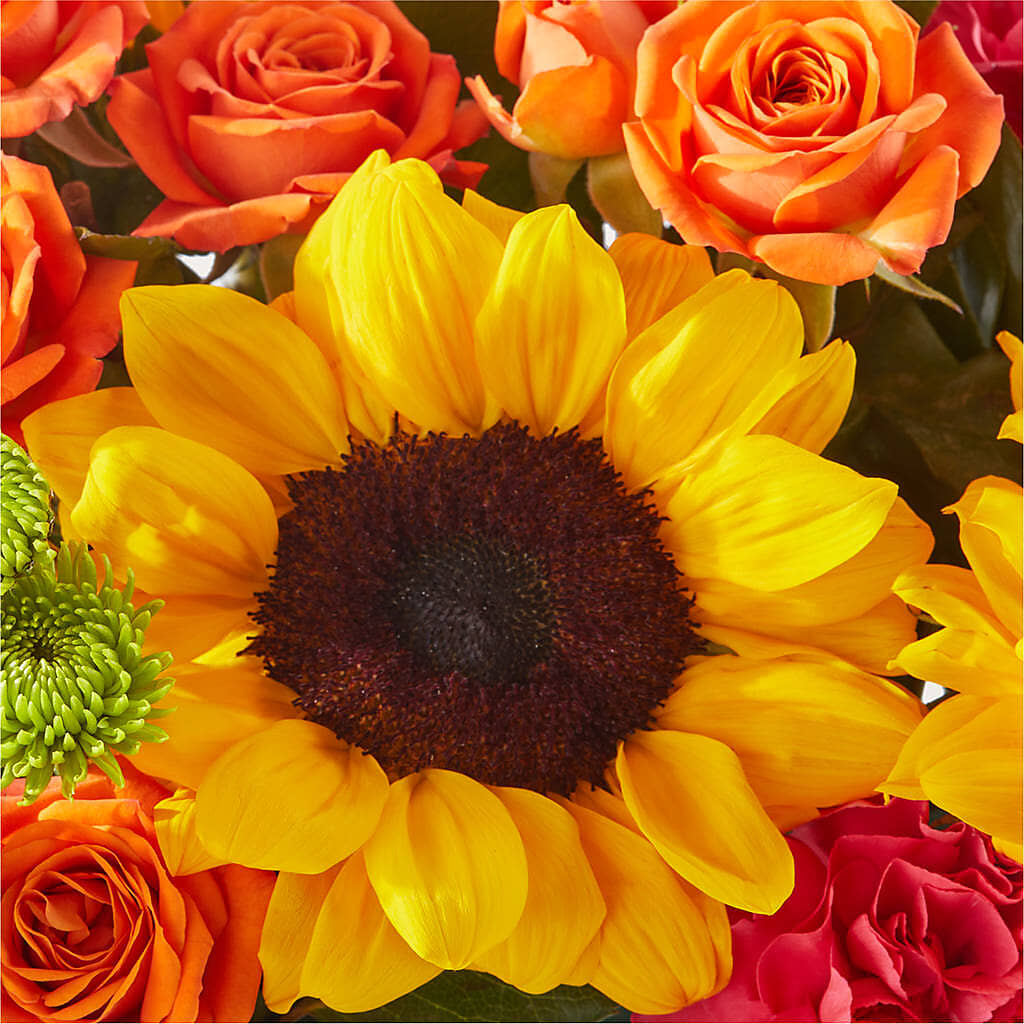 Sun-drenched Blooms Box Bouquet –  Blooming Branches, Guttenberg IA
