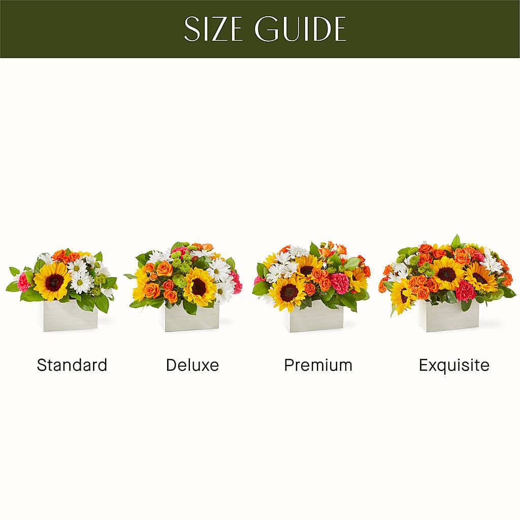 Sun-drenched Blooms Box Bouquet –  Blooming Branches, Guttenberg IA